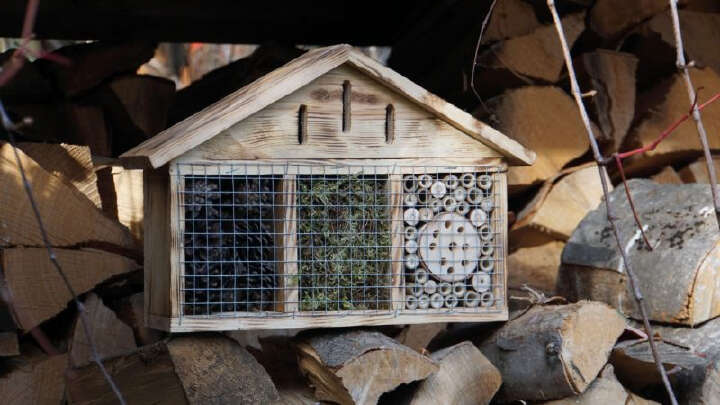 Insektenhotel aus geflämmtem Holz